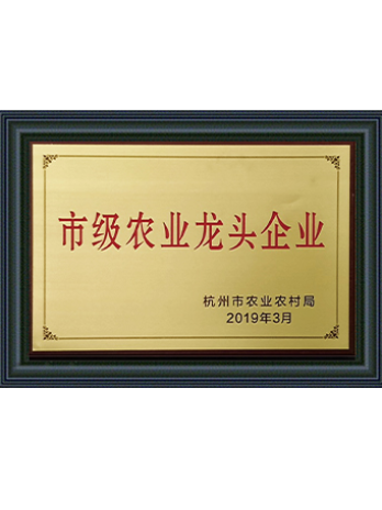 康德权