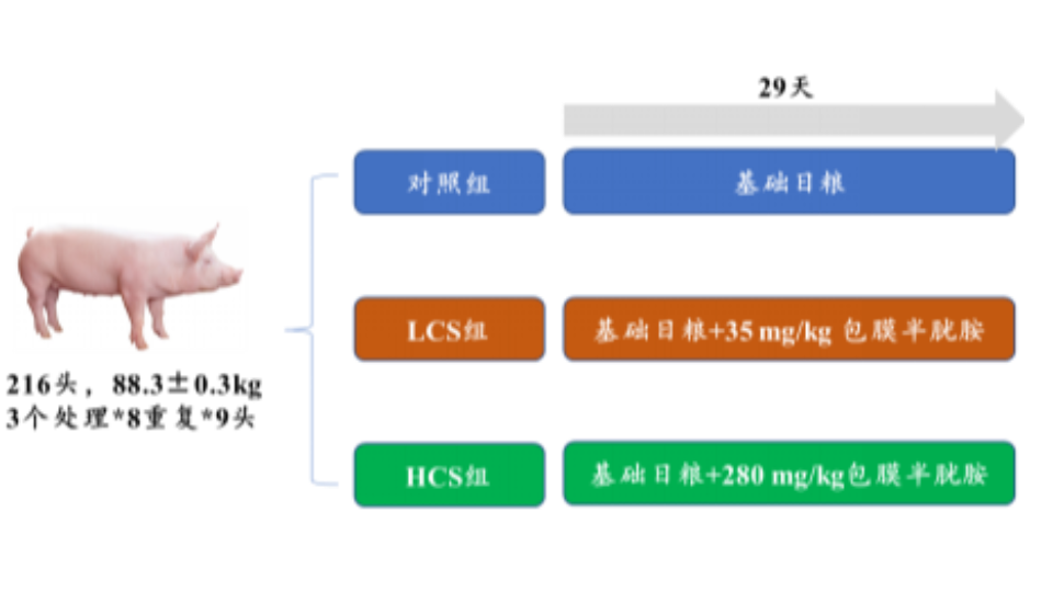 康德权