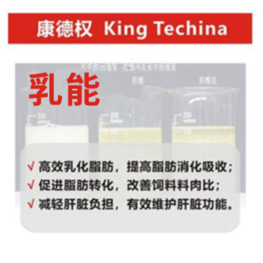 康德权