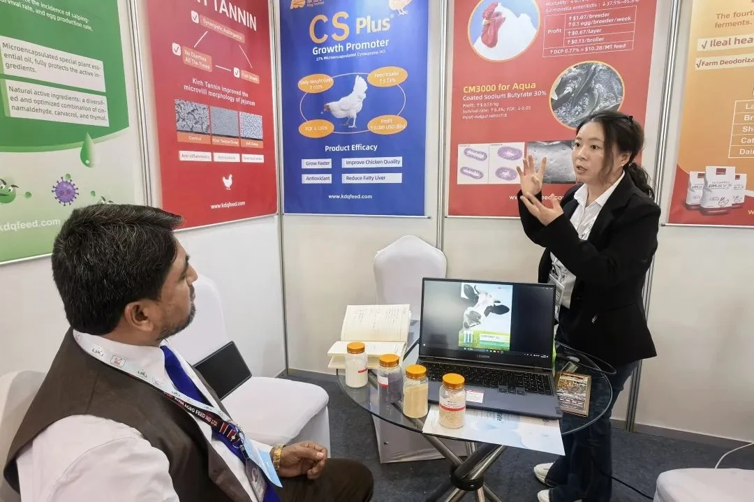 640 (5).webp 640 (5).webp