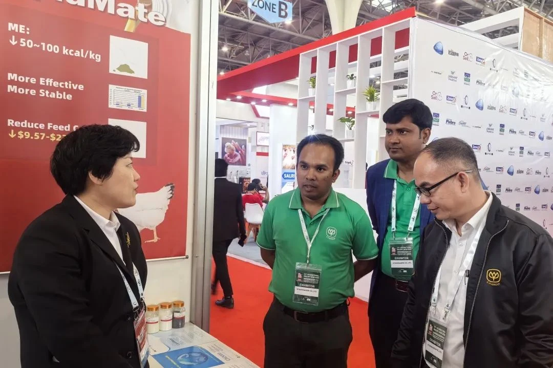 640 (10).webp 640 (10).webp