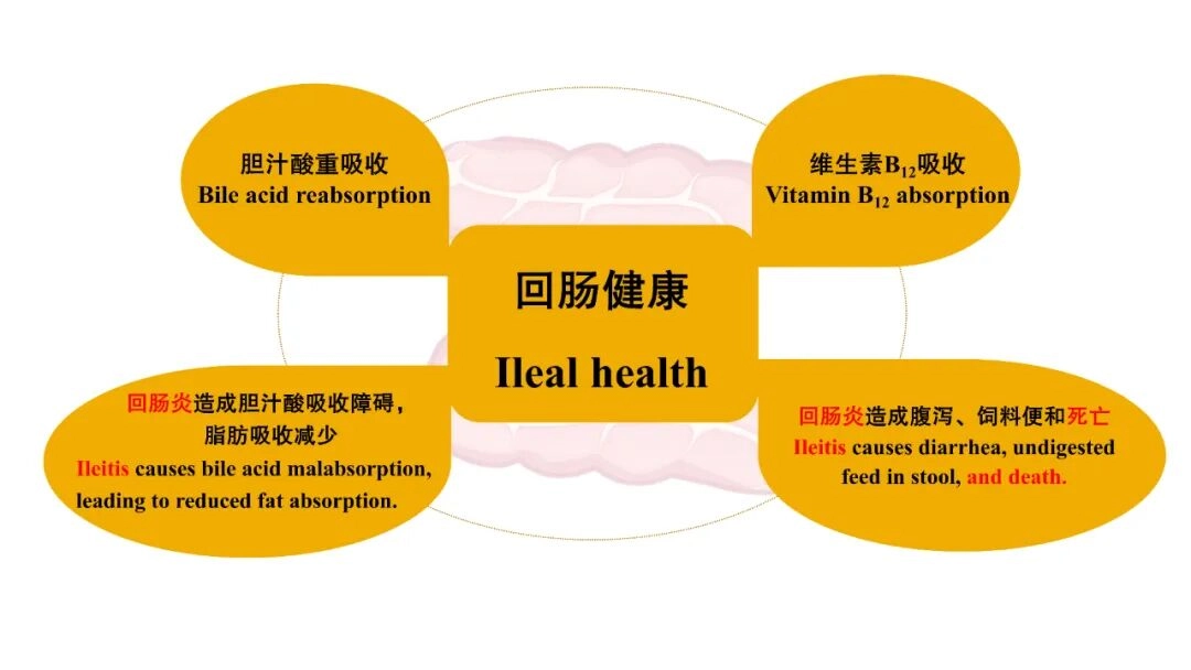 202510271355189553.webp 202510271355189553.webp