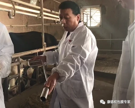 “爱·健·康”技术交流会 ----围产期营养管理技术交流暨盖棒新产品发布会1254.webp