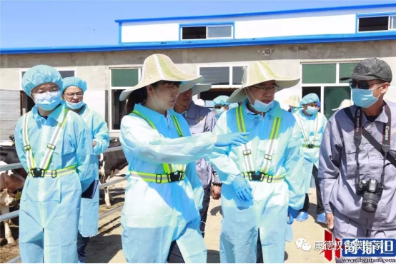 康德权反刍动物事业部技术总监肖玲女士荣获奶牛金钥匙十周年“突出贡献奖”443.png