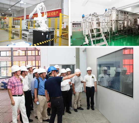 新起点 新征程 新作为 康丸德川新厂今天正式投产2318.webp