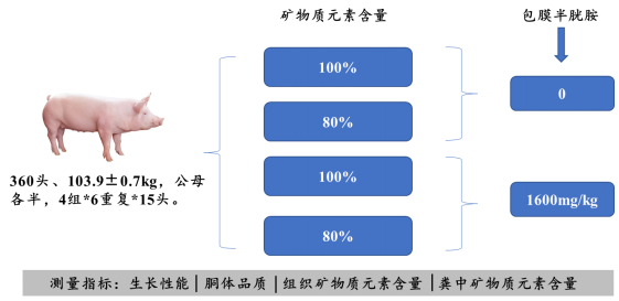 包膜半胱胺产品试验结果分享（一）493.png